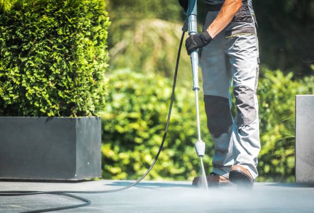 Professional  Pressure Washing Services in Newport, OH