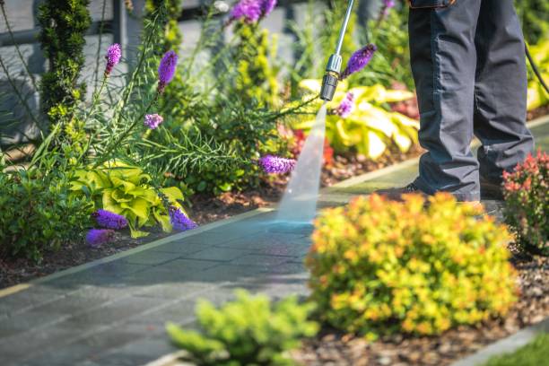 Best House Exterior Washing  in Newport, OH