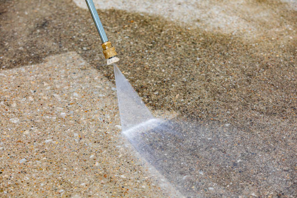 Best Animal Enclosure Cleaning  in Newport, OH